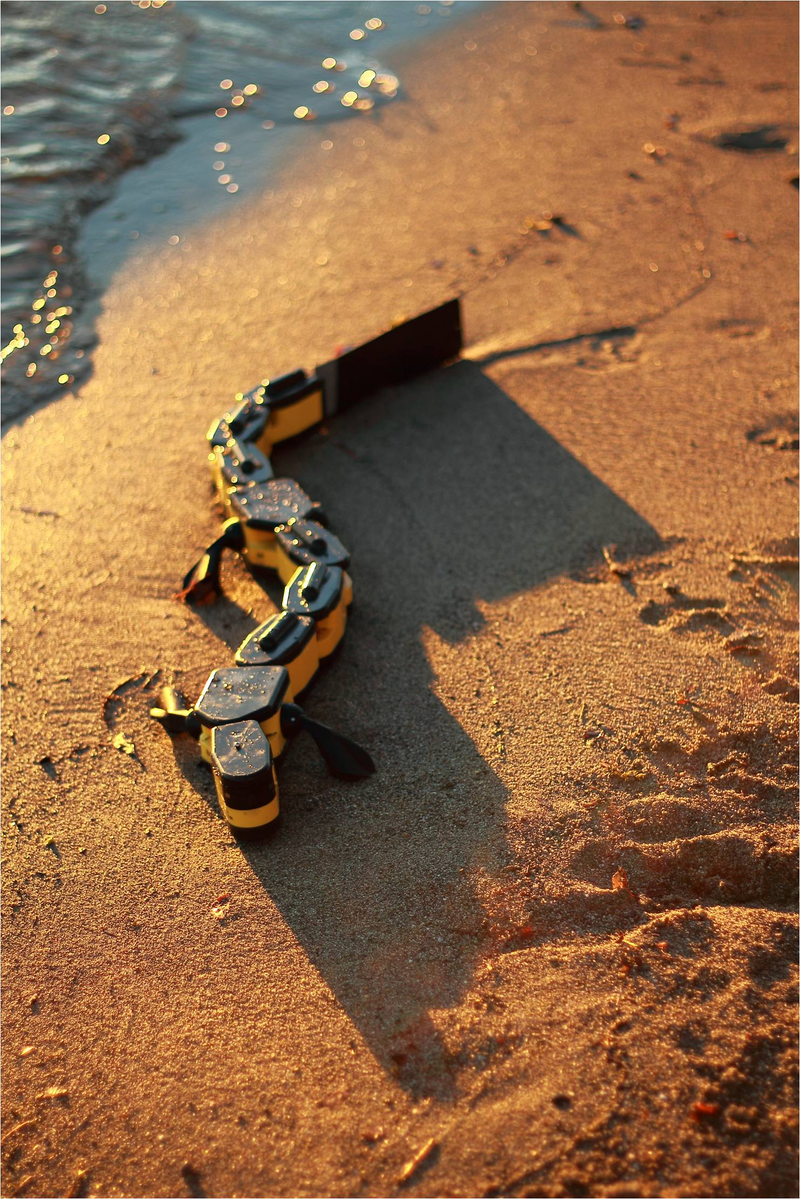 Illustration for article titled Este robot-salamandra es capaz de nadar, reptar y caminar como los anfibios